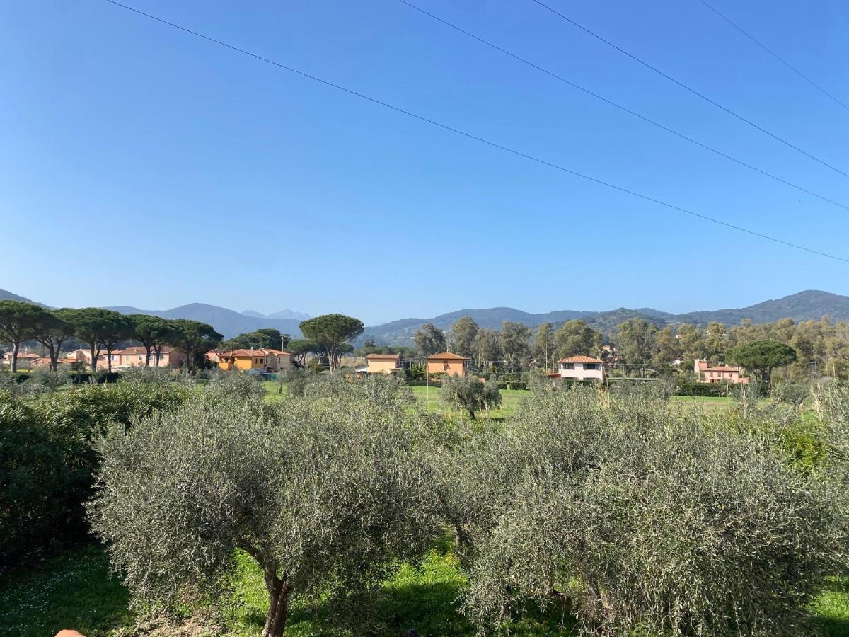 Residence Terme Isola D'Elba Srl Портоферайо Екстериор снимка