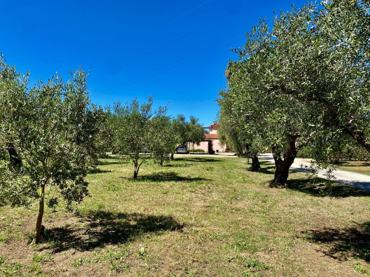 Residence Terme Isola D'Elba Srl Портоферайо Екстериор снимка