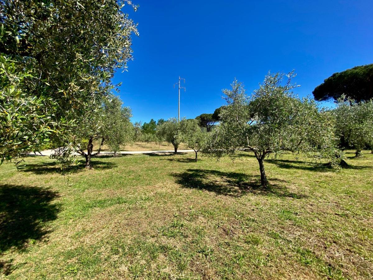 Residence Terme Isola D'Elba Srl Портоферайо Екстериор снимка